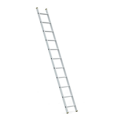 ALDOTRADE Žebřík Al jednodílný Profi 1x11