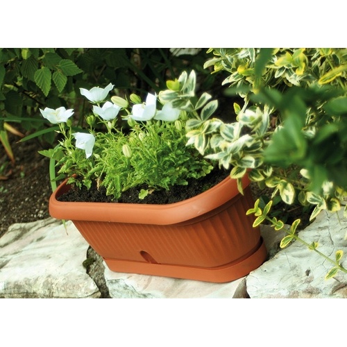 Truhlík s miskou TERRA terakota 26,5 cm