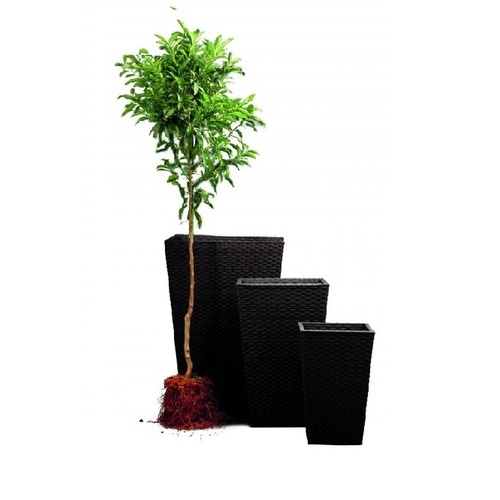 Květináč Rattan Planter M 55,4l antracit