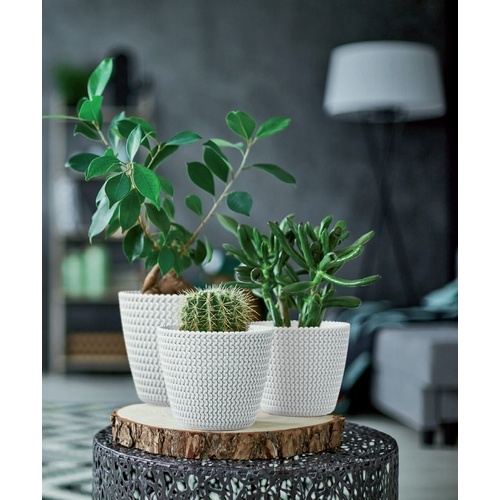 Květináč kulatý SPLOFY průměr 13 cm 